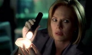 Catherine Willows realisationface