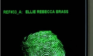 Ellie Rebecca Brass